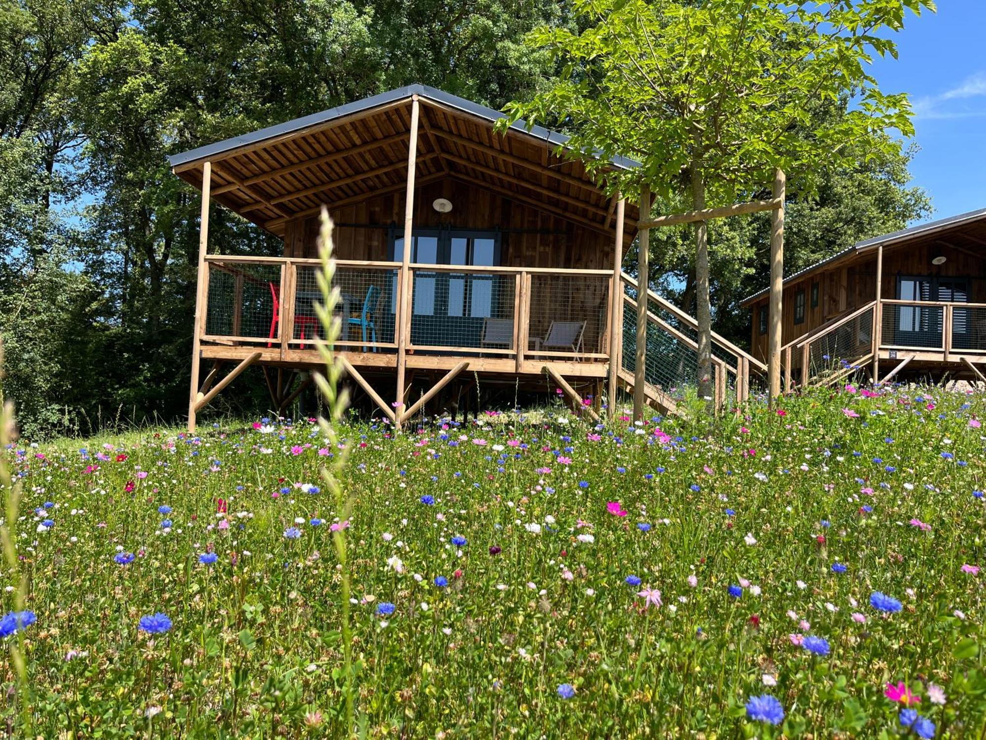 La Buissonniere Lodges Chisseaux Zewnętrze zdjęcie